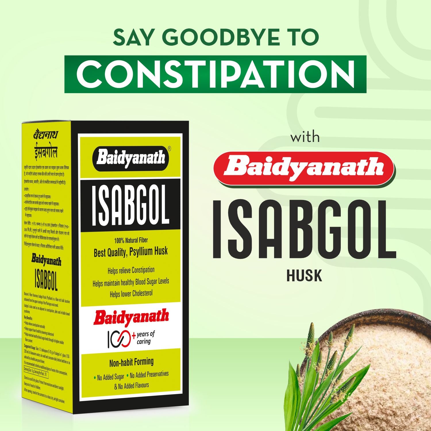 Siddhayu baidyanath isabgol (Psyllium husk)