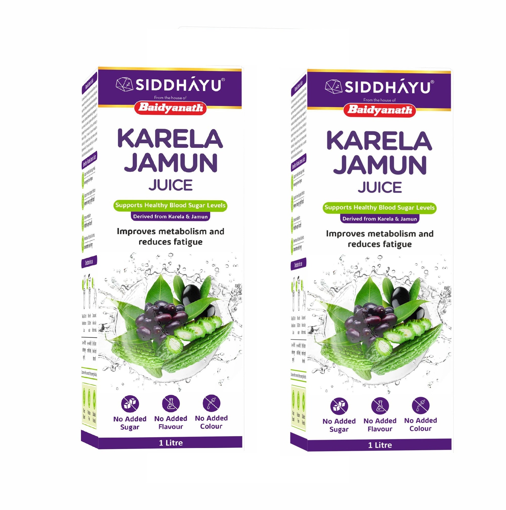 Baidyanath Karela Jamun Juice – 1 Litre