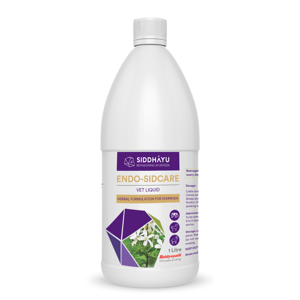 Endo - Sidcare Vet Liquid