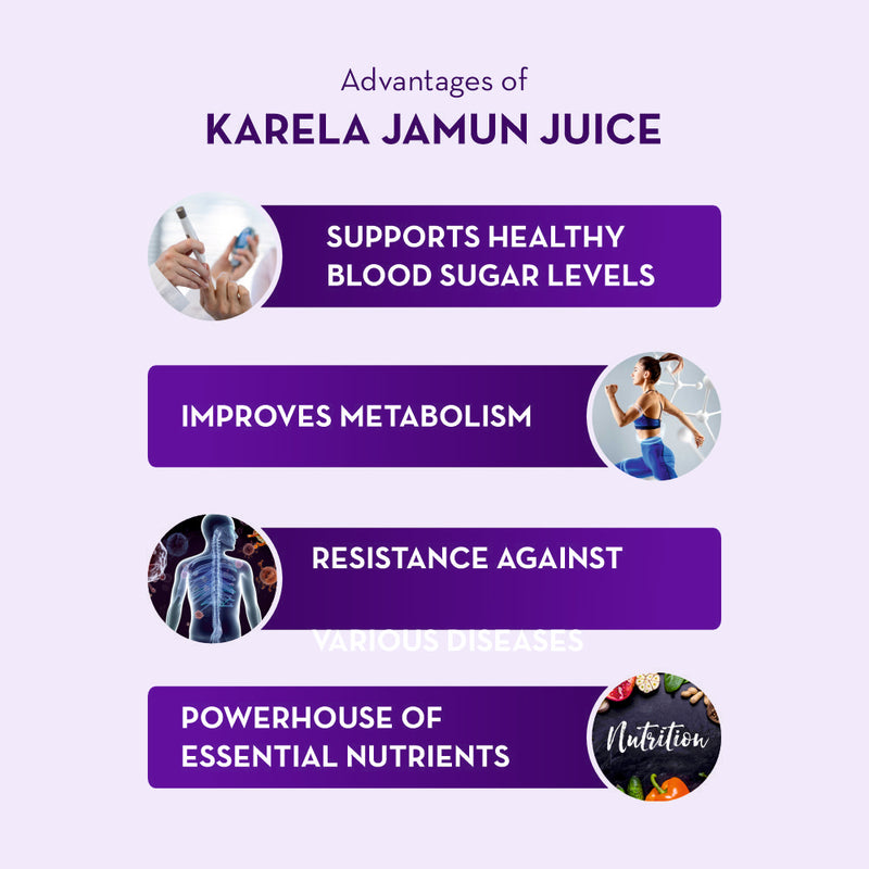 Baidyanath Karela Jamun Juice – 1 Litre