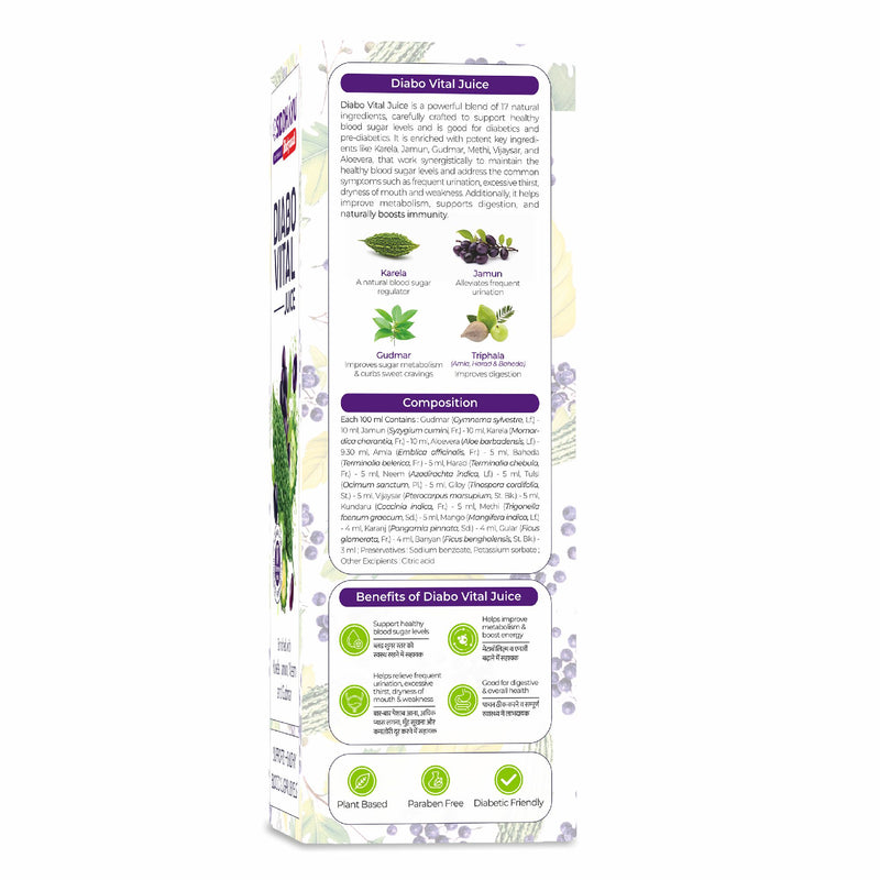 Siddhayu Biadyanath Diabo vital Juice 1 L