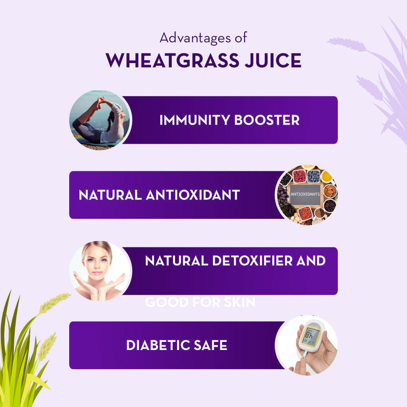 Siddhayu Biadyanath Wheatgrass Juice 500 ML