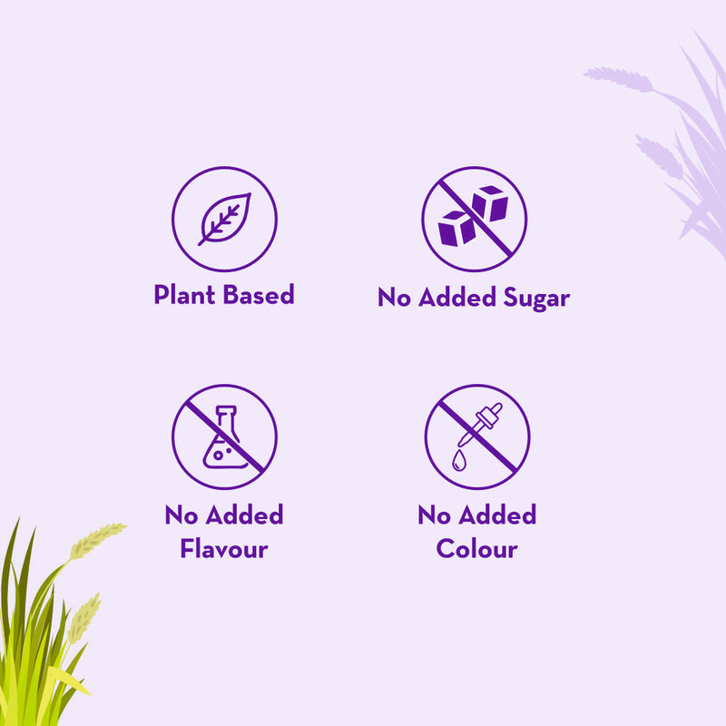 Siddhayu Biadyanath Wheatgrass Juice 500 ML