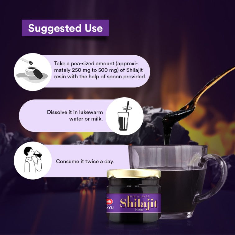Siddhayu Shilajit Resin 20 Grams