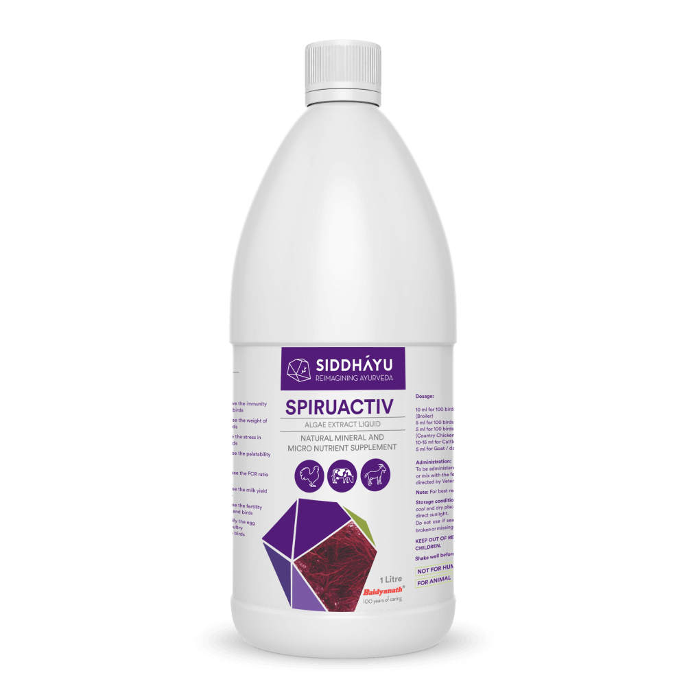 Spiruactiv Algae Extract Liquid