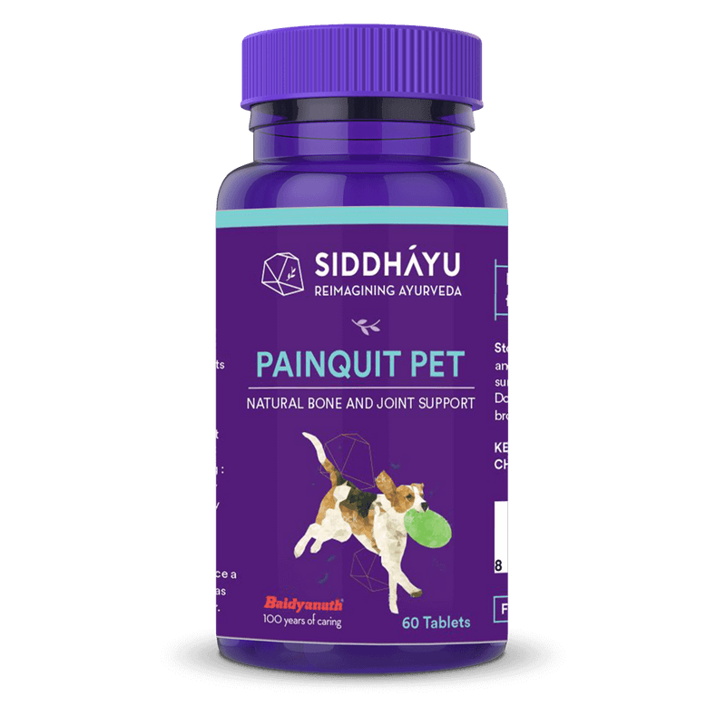 Painquit Pet