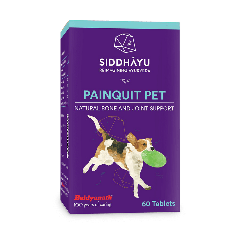 Painquit Pet