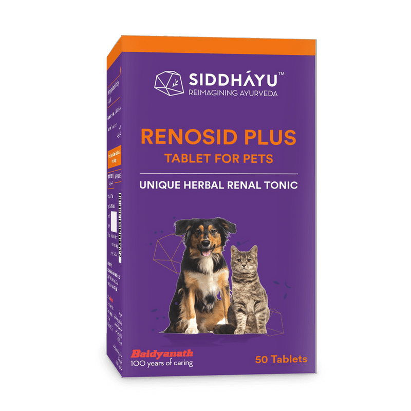 Renosid Plus Tablet For Pet