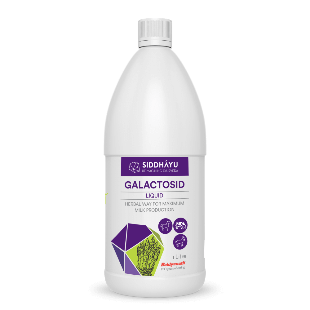 Galactosid Liquid