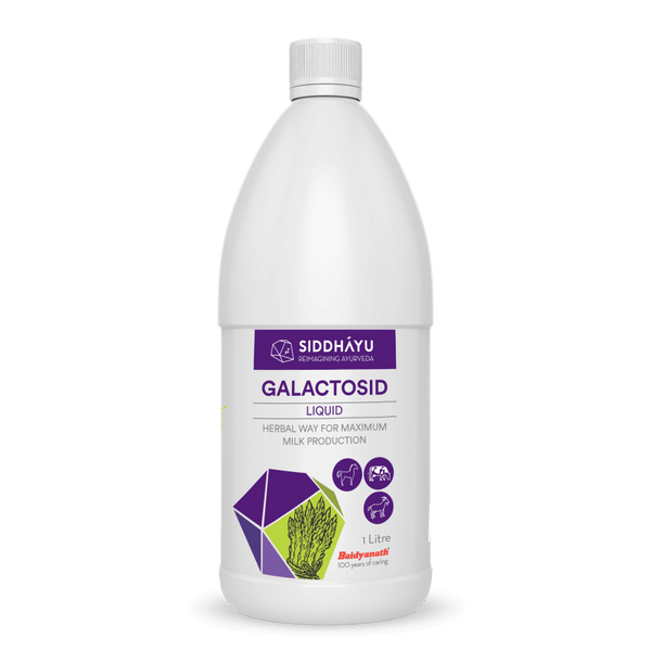 Galactosid Liquid
