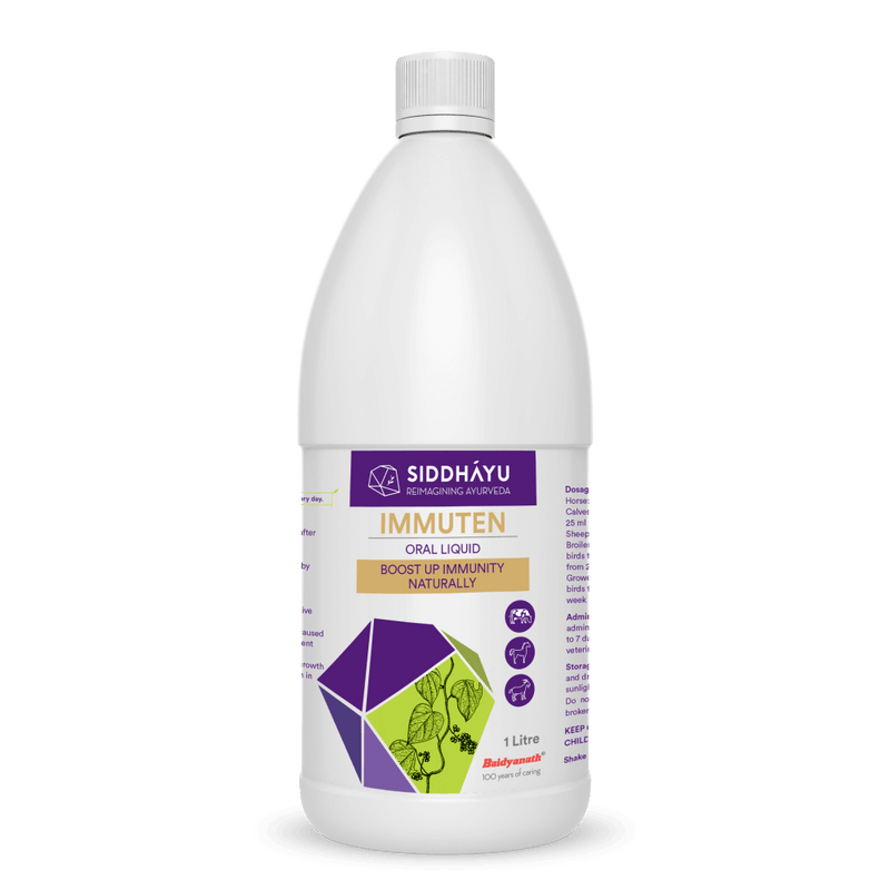 Immuten Oral Liquid